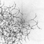 Picture for song 'Tribute to Autechre' by artist 'El Cheapo Musica'