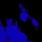 Picture for song 'Troubled Sleep' by artist 'ElectronicaGhostVoicePhenomena'