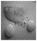 Picture for song 'Miss You' by artist 'Erika G'
