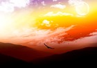 Picture for song 'Maya' by artist 'Falken'