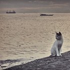 Picture for song 'Delusional Permanence' by artist 'Fami'