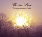 Picture for song 'Ritoque.mp3' by artist 'flores de bach'