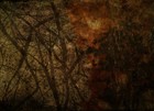 Picture for song 'You cover me like a wet blanket' by artist 'ForeverGrasping'
