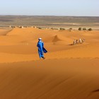 Picture for song 'Jamming India' by artist 'Fragile Forest'