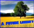 Picture for song 'A Future Lament?' by artist 'Freddy J'