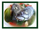 Picture for song 'I Like Eyeballs (Fish Head Soup)' by artist 'Freddy J'