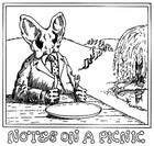 Picture for song 'Notes on a Picnic' by artist 'fred World in Sound'