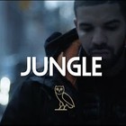 Picture for song 'Cant C Me' by artist 'Beats with Hooks.'