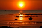 Picture for song 'Distant Memories' by artist 'George Megas'