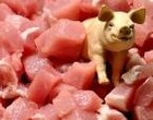 Picture for song 'B Side of Bacon (V1)' by artist 'Go For Throttleup'