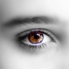 Picture for song 'Two Eyes Brown' by artist 'Grayhen Tor'