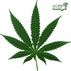Picture for song 'GANJA MiX (2008)' by artist 'h0stile'