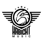 Picture for song 'Baleys / LEASE MP3 9.99$ / LEASE WAV 19.99$' by artist 'Habicht Music'