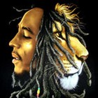 Picture for song 'Lion' by artist 'Hardkore Productions'