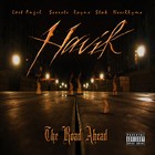 Picture for song 'Don't Go' by artist 'Havik Music'