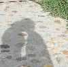 Picture for song 'Wenn mein Schatz mich küsst' by artist 'Holy'