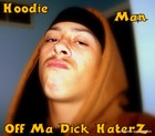 Picture for song 'Brand new haterz' by artist 'Hoodie Man'