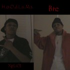 Picture for song 'Be Easy' by artist 'HoOdLuMs (US)'