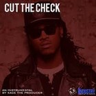 Picture for song 'Cut Tha Check prod by:HOBBeatz' by artist 'Houze Of Bluez Beatz'