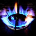 Picture for song 'STOVE ON HOT!!!!! Hustlizedmusac@gmail.com' by artist 'Hustlized Musac'