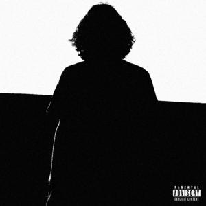 Picture for song 'Shattered Skulls' by artist 'HXSHXR'