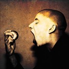 Picture for song 'The Voice Metallic' by artist 'Industria'