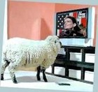 Picture for song 'I got yer back bro' by artist 'Instant Resn'