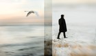 Picture for song 'Separate lies' by artist 'james hansson'