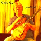 Picture for song 'Sunny Sky' by artist 'James Murrell'