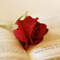 Picture for song 'Deep Floyd 414-Rosa Mundial-Lucifer vs Ahriman' by artist 'Jammer59'