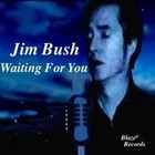 Picture for song 'Waiting For You' by artist 'Jim Bush'
