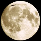 Picture for song 'The Flight.mp3' by artist 'Jimi Sweeney'