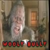Picture for song 'Wooly Bully Again' by artist 'Jimmie R Vestal'