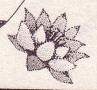 Picture for song 'telepopmusik' by artist 'jjkaydence'