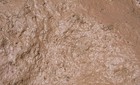 Picture for song 'My Name is Mud' by artist 'Joe Levis'
