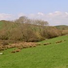 Picture for song 'The View' by artist 'Joe Osborne'