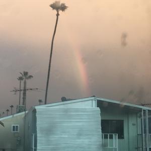 Picture for song 'Rainy Day Blue Acoustic' by artist 'Johanna Renfro'