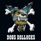 Picture for song 'budpests own personal b*** (DAMAGED EDIT)' by artist 'johnny pickle'