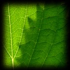 Picture for song 'Light Sweet Magic Feather Touch' by artist 'Jon Christian'