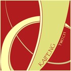 Picture for song 'Twitch (Drum & Bass)' by artist 'Kaifeng'