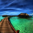 Picture for song 'Beautiful Life Instrumental Free Download!.mp3' by artist 'KayHamTracks'