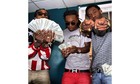 Picture for song 'BIRDS LIKE EAGLES - (MIGOS TYPE BEAT)' by artist 'King Beez'