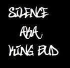 Picture for song 'Hardstyle' by artist 'KingBudHardstyle'