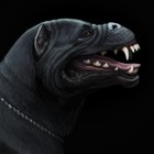 Picture for song 'Watchdog' by artist 'KrissiO'