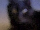 Picture for song 'Haunted' by artist 'Larry Ludwick'