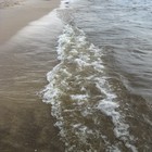 Picture for song 'Waves' by artist 'LEE JOHNSON BAND'