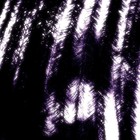 Picture for song 'Dark & Light' by artist 'Lena Selyanina'