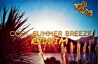 Picture for song 'Cool Summer Breeze Riddim Levl7 prod' by artist 'LevL7'