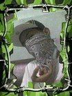 Picture for song 'kanino ba dapat' by artist 'License to kill'