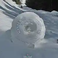 Picture for song 'Winter' by artist 'LifeApart'